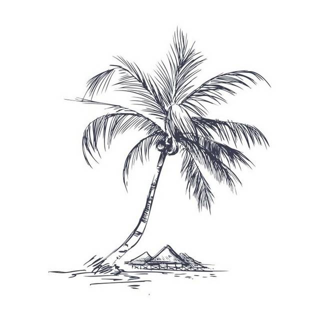 黑白手绘椰树