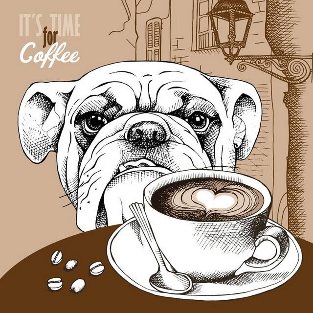 喝咖啡的狗