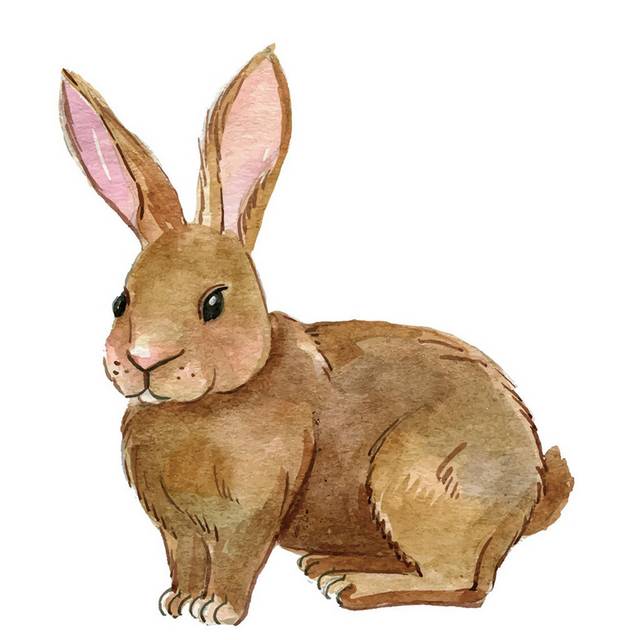 手绘棕色兔子素材