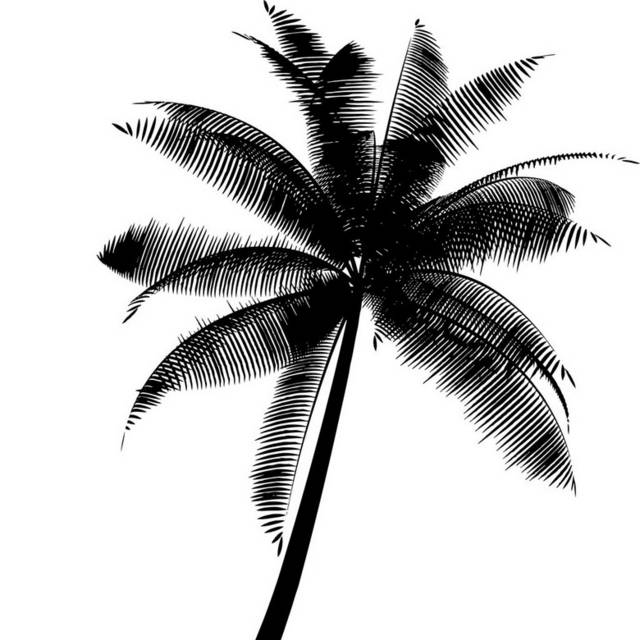 黑色矢量椰子树素材