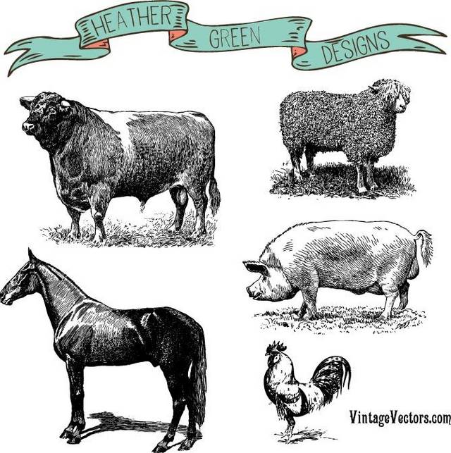 矢量手绘牛和牲畜素材