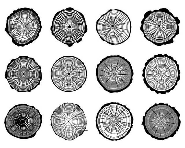 年轮纹理素材大全