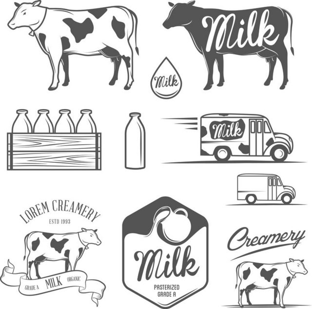 牛和牛奶素材