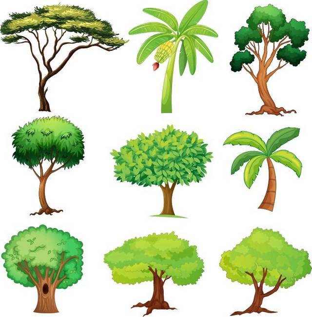 矢量不同的树素材