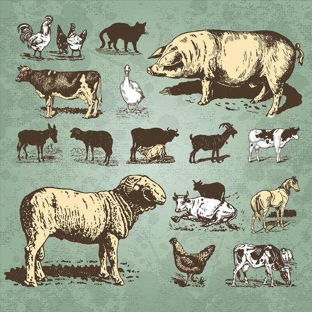 矢量素材手绘农场动物