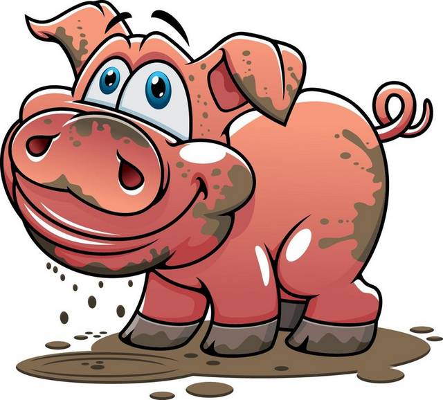 卡通可爱小猪