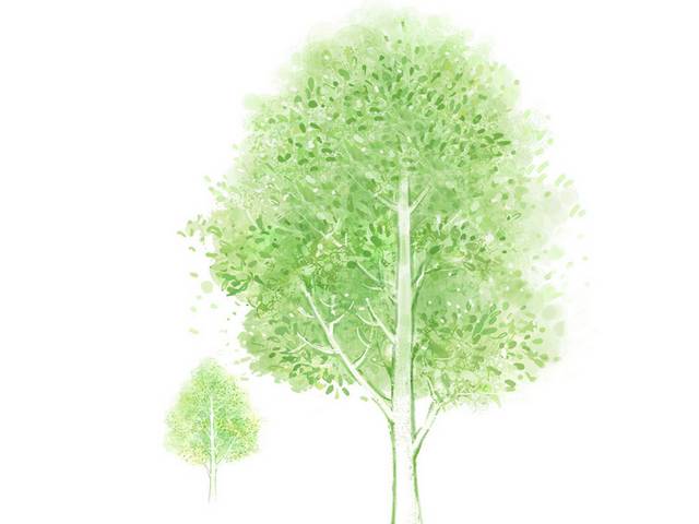 绿色大树设计素材