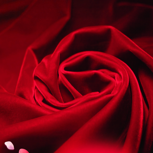 玫瑰形红色丝绸