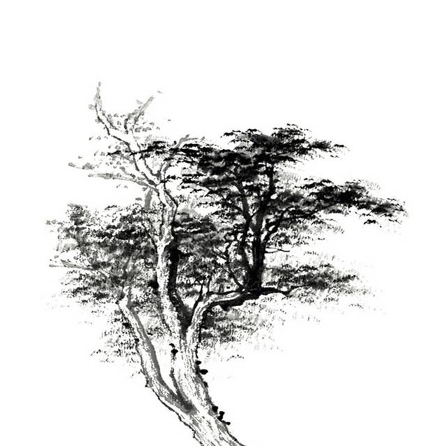 古典中国风松树素材