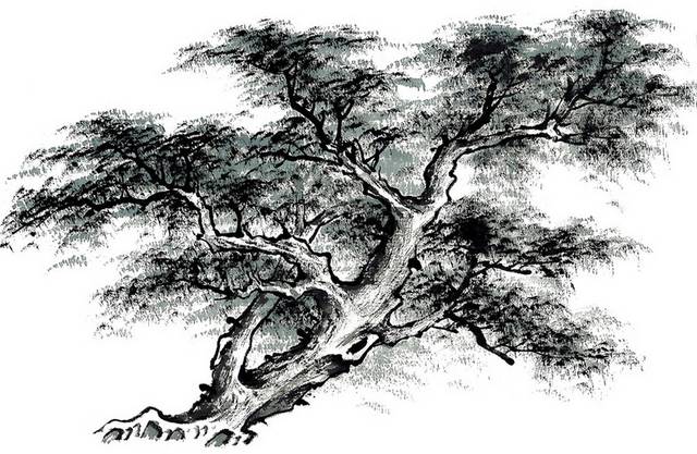 中国水墨松树素材