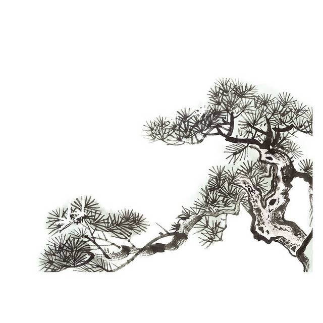 中国风松树素材