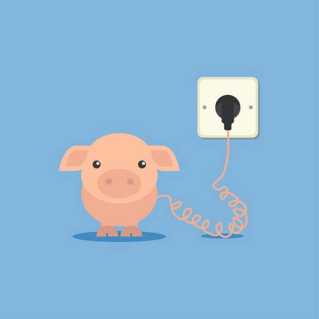 猪插着电源