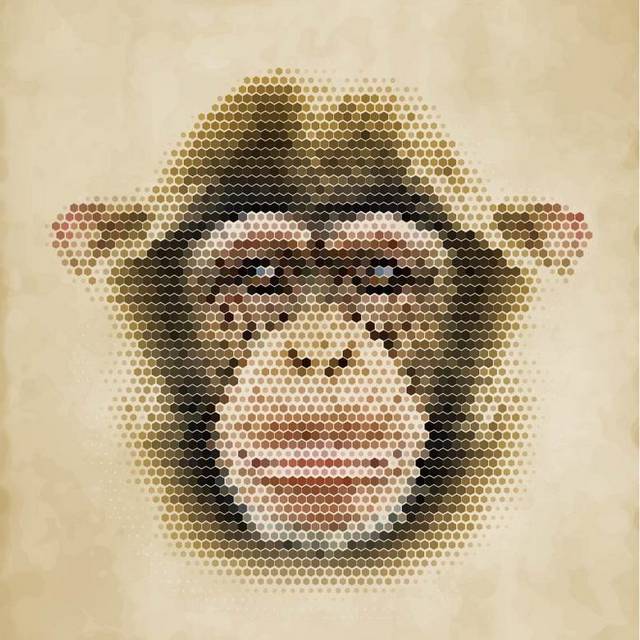 手绘猴子矢量图