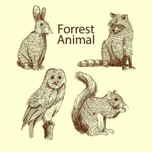 森林动物矢量素材