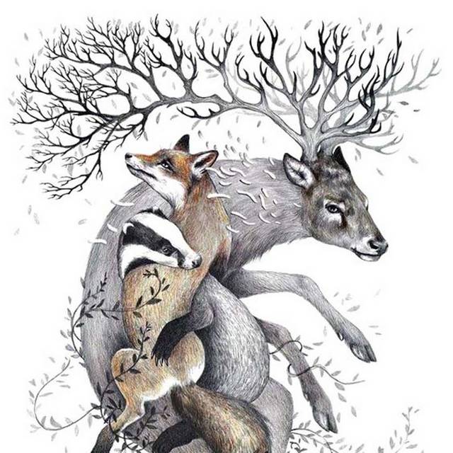 手绘素材狐狸和鹿