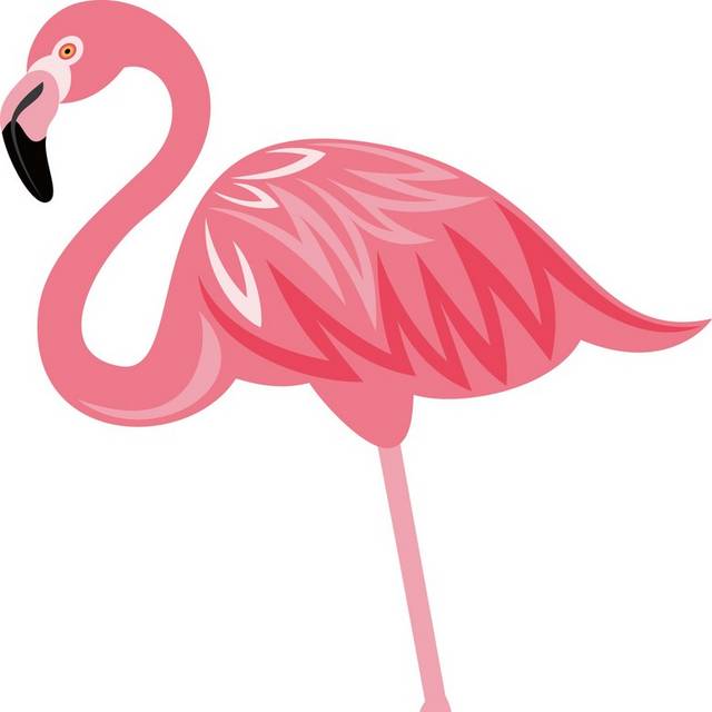 粉色手绘火烈鸟元素