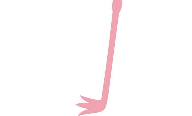 粉色手绘火烈鸟元素