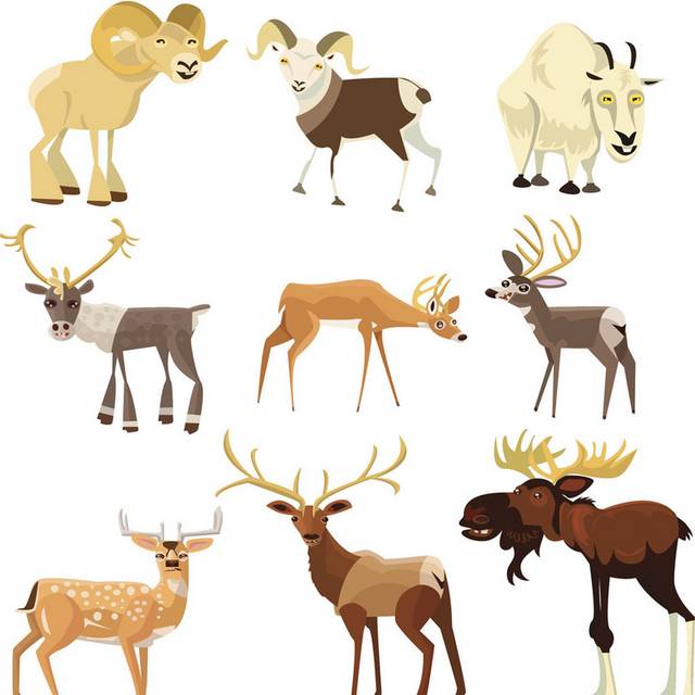 卡通鹿和其他动物