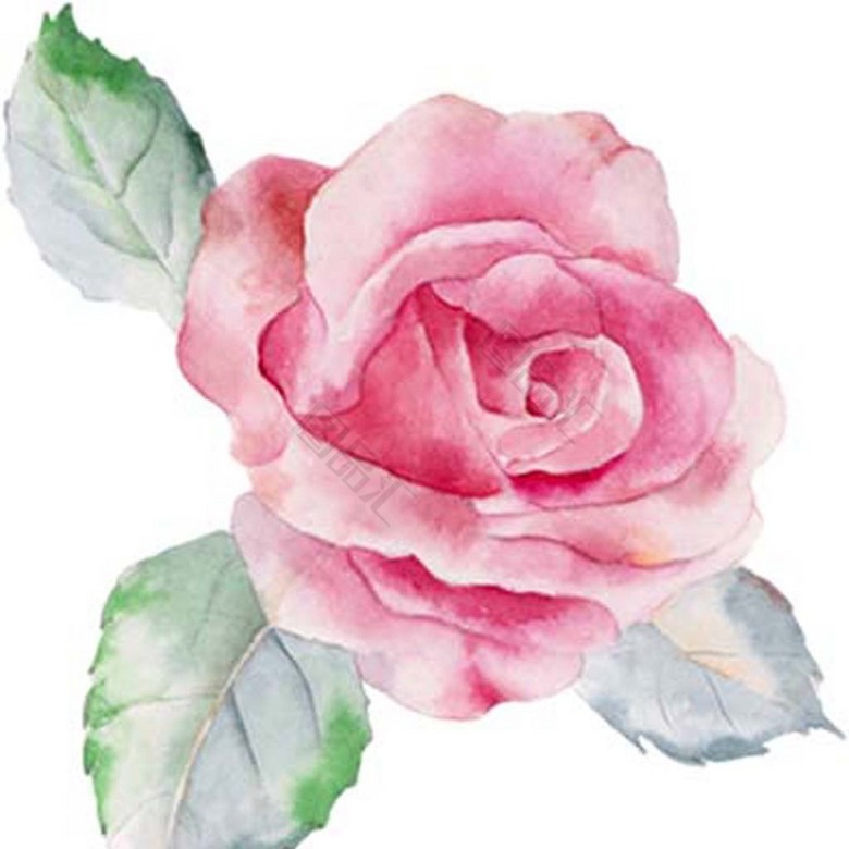 特価 手绘水彩玫瑰花_图品汇 絵画/タペストリー