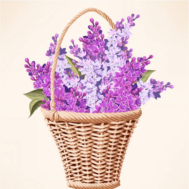 紫丁香的花篮矢量图