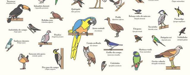 多种手绘鸟类