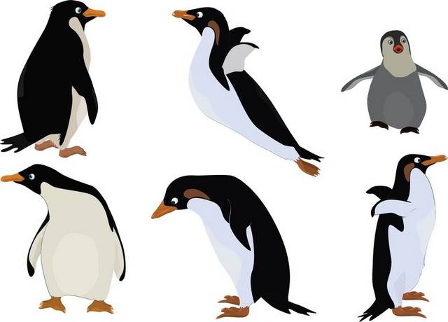 多种姿态的企鹅素材
