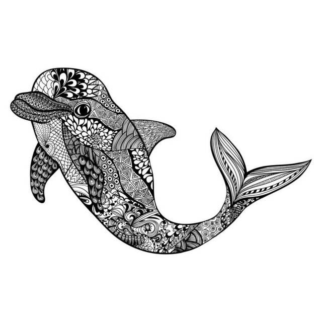 黑白手绘海豚素材