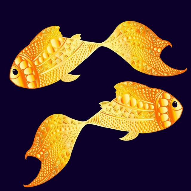 两条金色金鱼素材