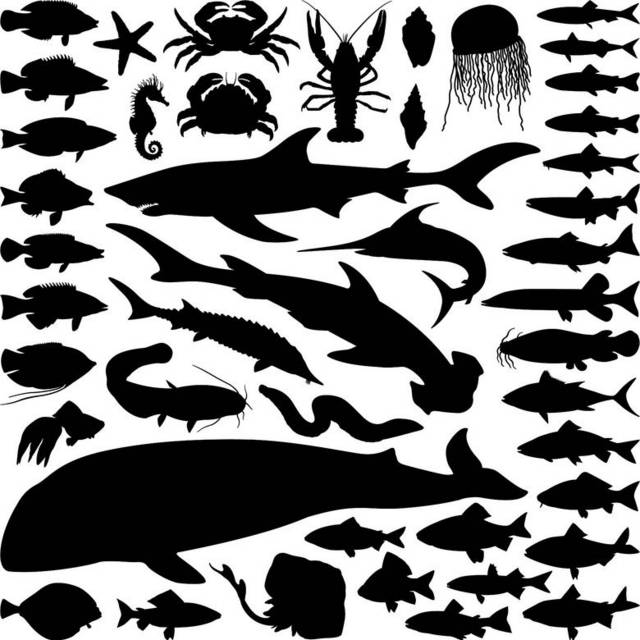 多种海洋动物剪影