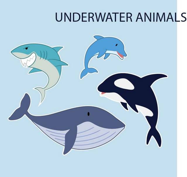 海洋动物手绘素材