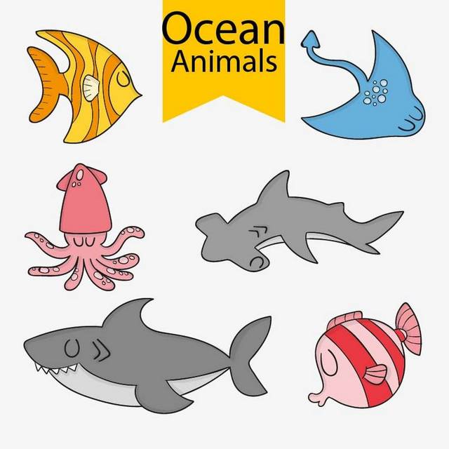 手绘海洋动物