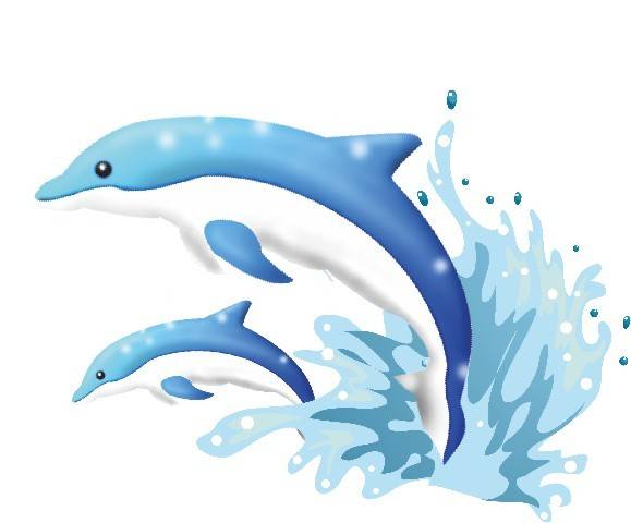 海豚跃出水面素材