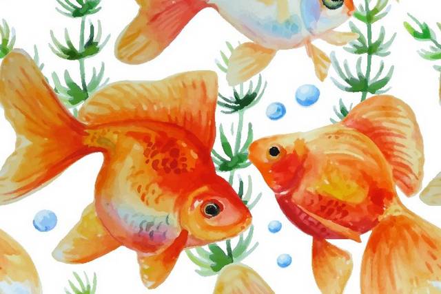 卡通金鱼素材