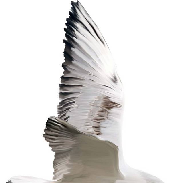 展翅的海鸥设计元素