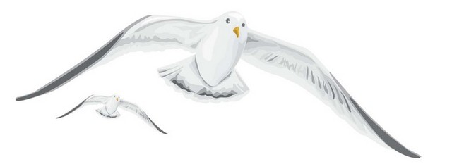 手绘飞翔的海鸥