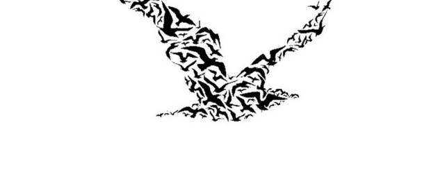 黑白剪影海鸥