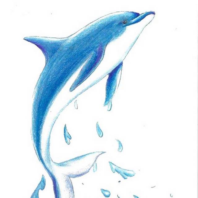 蓝色跳跃海豚设计元素