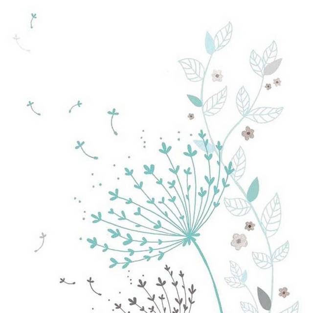手绘蒲公英插画