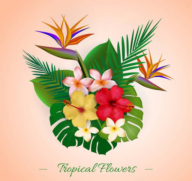 彩色热带植物花束矢量图