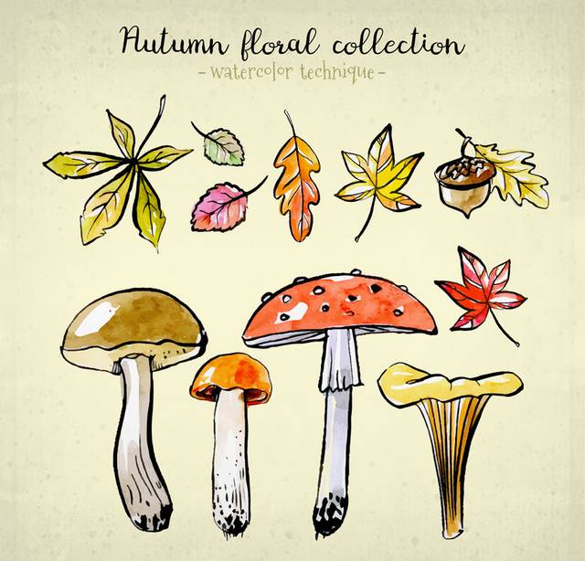 彩绘秋季树叶蘑菇矢量素材