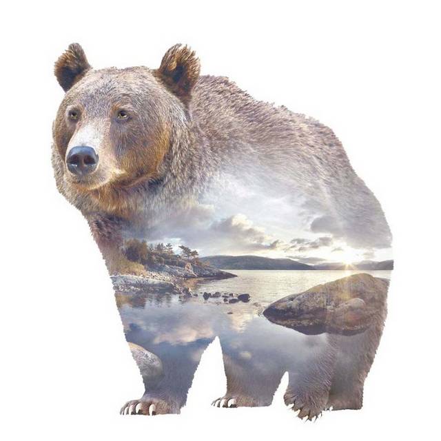 熊和风景设计元素