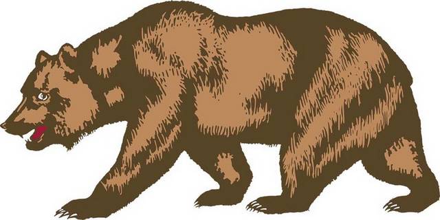 棕色熊设计元素