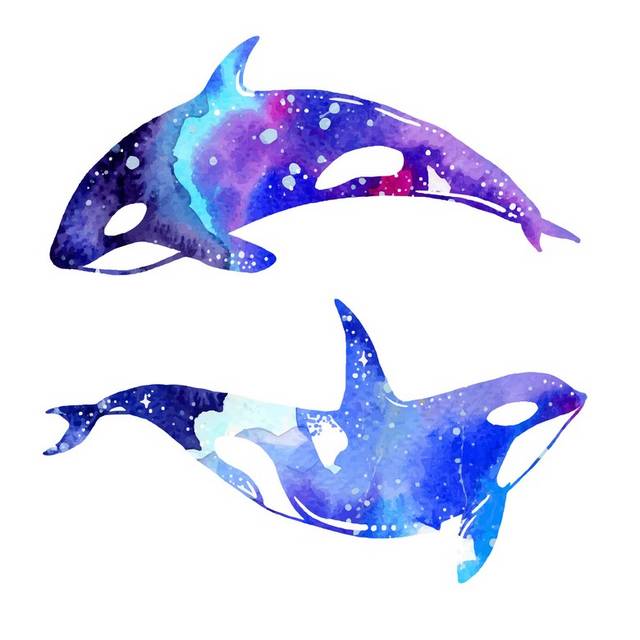 两条彩色鲸鱼设计元素