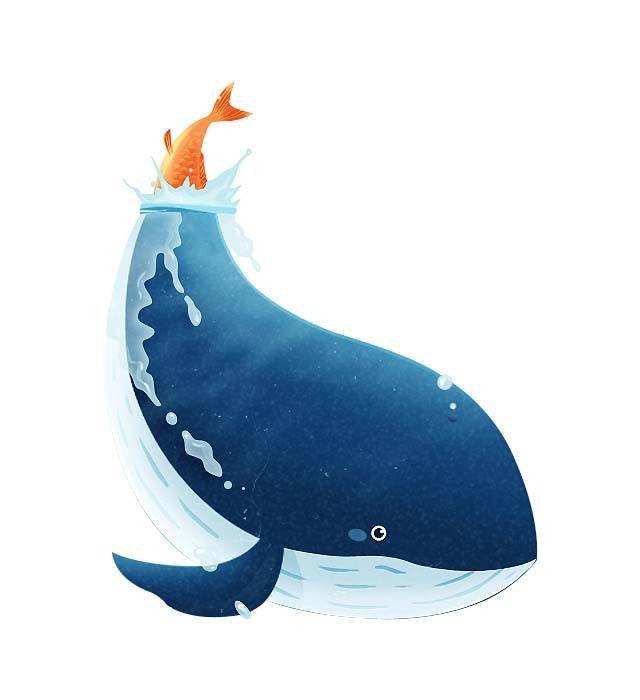水中的蓝鲸