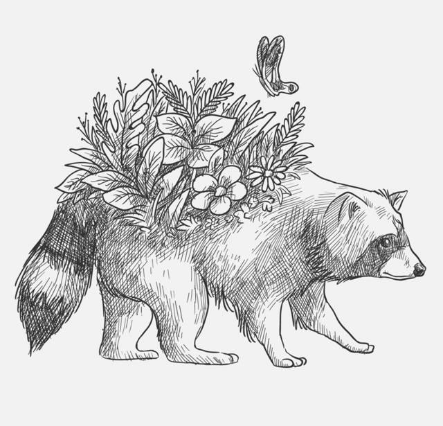 手绘背上开花的浣熊矢量图