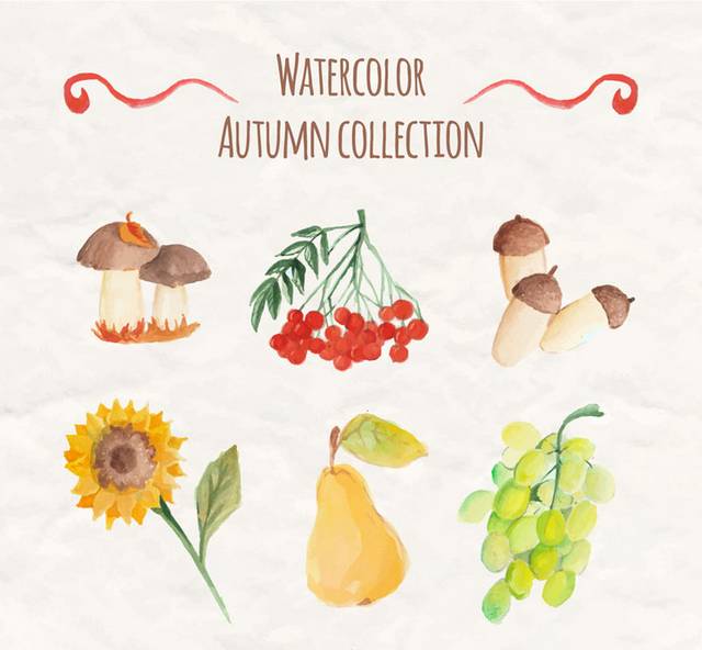 6款水彩绘秋季植物与水果