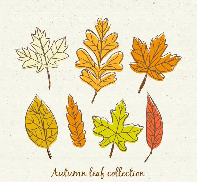 7款彩绘秋季叶子矢量