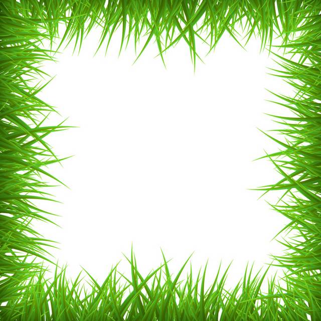 创意绿草空白框架背景矢量图