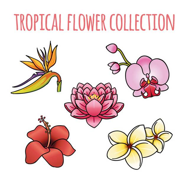 5款卡通热带花卉矢量素材