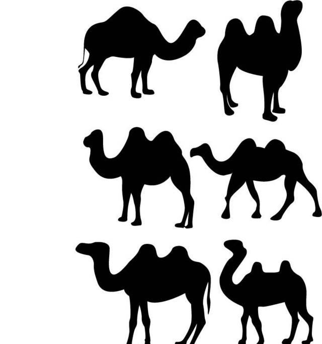 骆驼剪影素材矢量